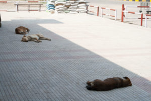 20080304-IMG_2505