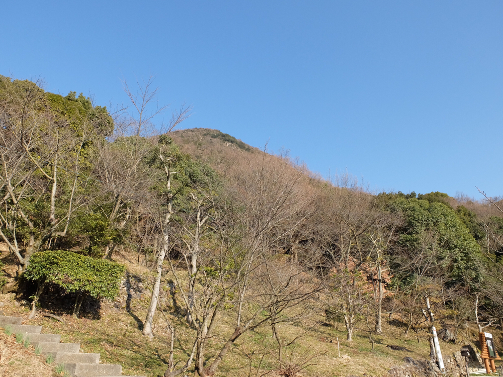 登山道から見た飯野山